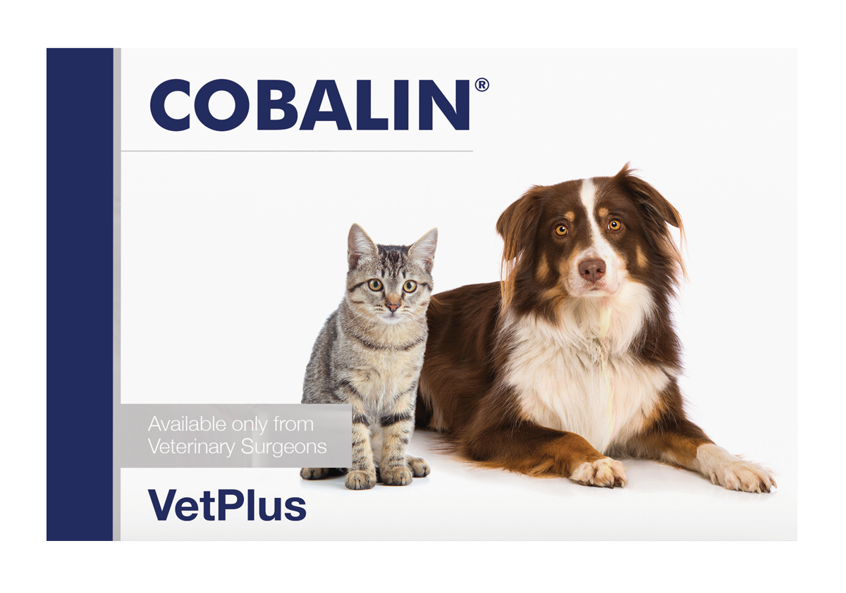 VetPlus Cobalin 貓狗用維他命B12及葉酸膠囊 60粒 官方產品圖片