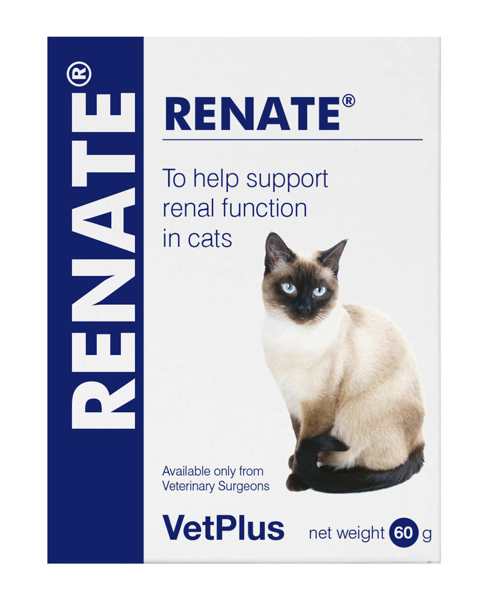 VetPlus Renate 貓用腎臟營養支持粉 2g × 30包 官方產品圖片