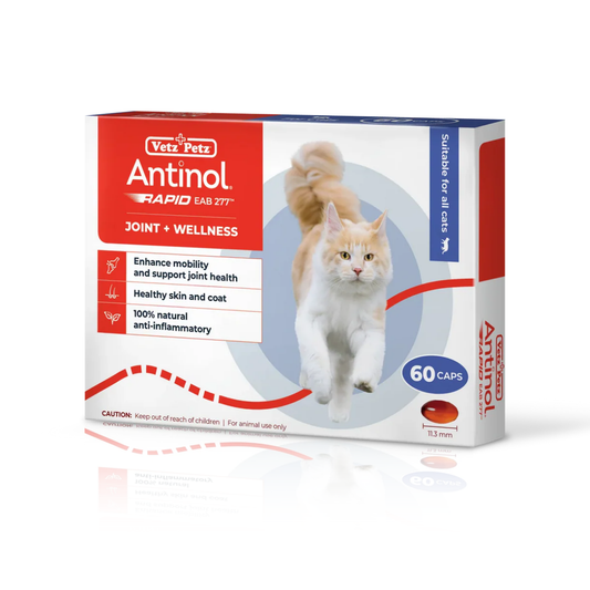 Antinol - RAPID 特強貓用關節丸 60粒