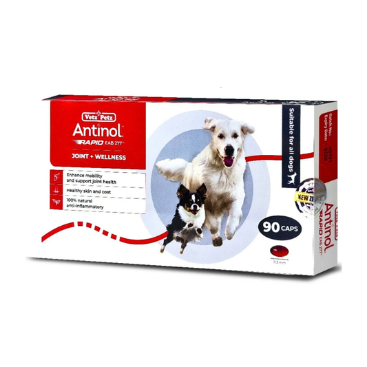 Antinol-Rapid for Dogs 90 Capsule