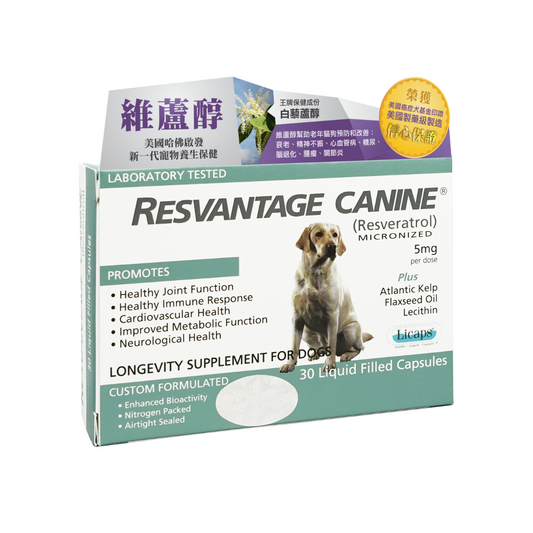 Resvantage®- 白藜蘆醇犬用保健品30粒