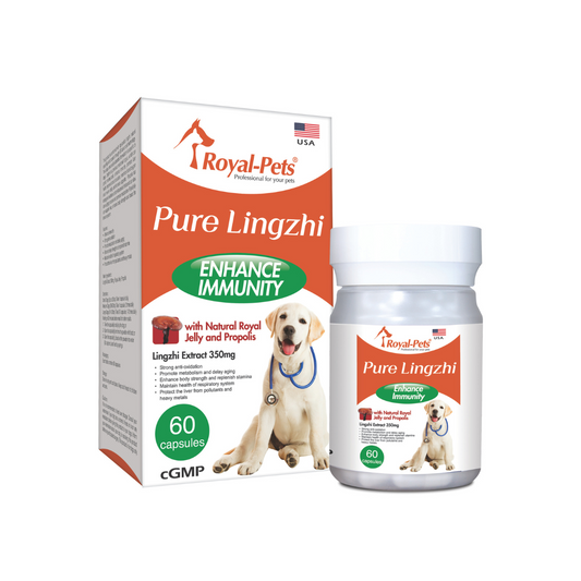 Royal-Pets-犬用純正靈芝(增強免疫力) 60粒膠囊