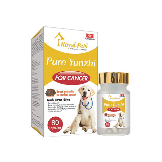 Royal-Pets-犬用純正雲芝 80粒膠囊