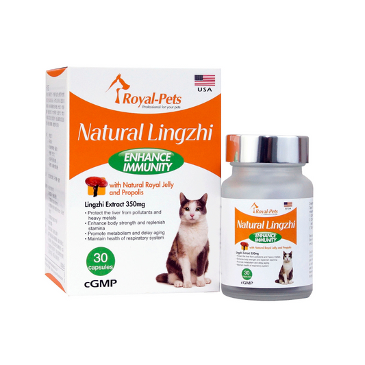 Royal-Pets-貓用天然靈芝 (增強免疫力) 30粒膠囊