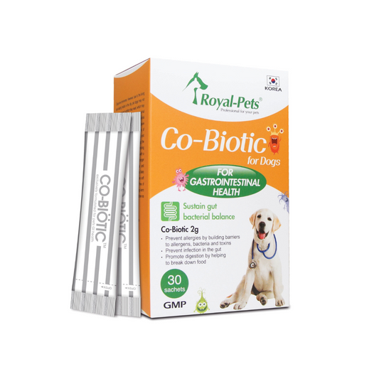 Royal-Pets-犬用腸胃益生素 30小包