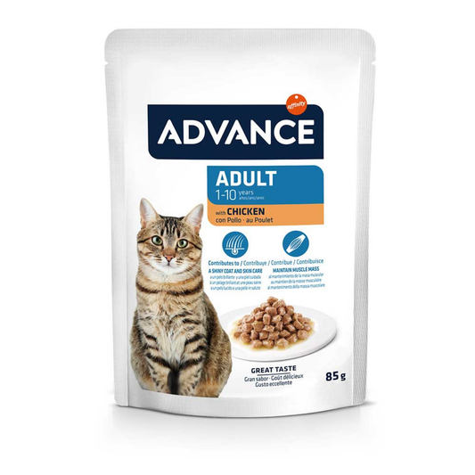 ADVANCE-日常成貓濕糧雞肉配方