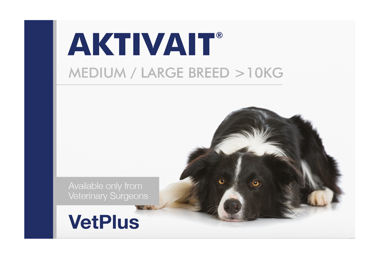 VetPlus Aktivait 中大型犬用腦部健康營養片 60片 官方包裝正面