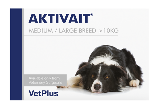 VetPlus Aktivait 中大型犬用腦部健康營養片 60片 官方包裝正面