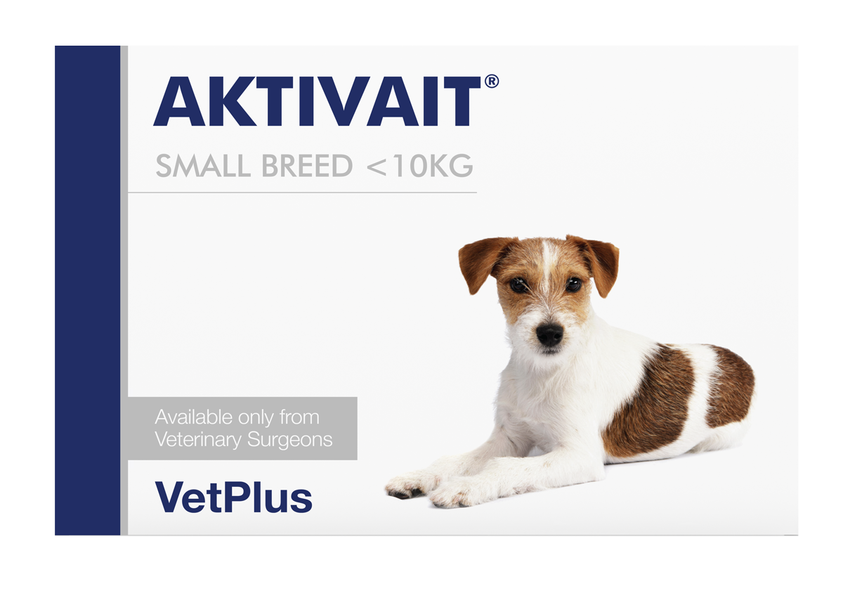 VetPlus Aktivait 小型犬用腦部健康營養片 60片 官方包裝正面