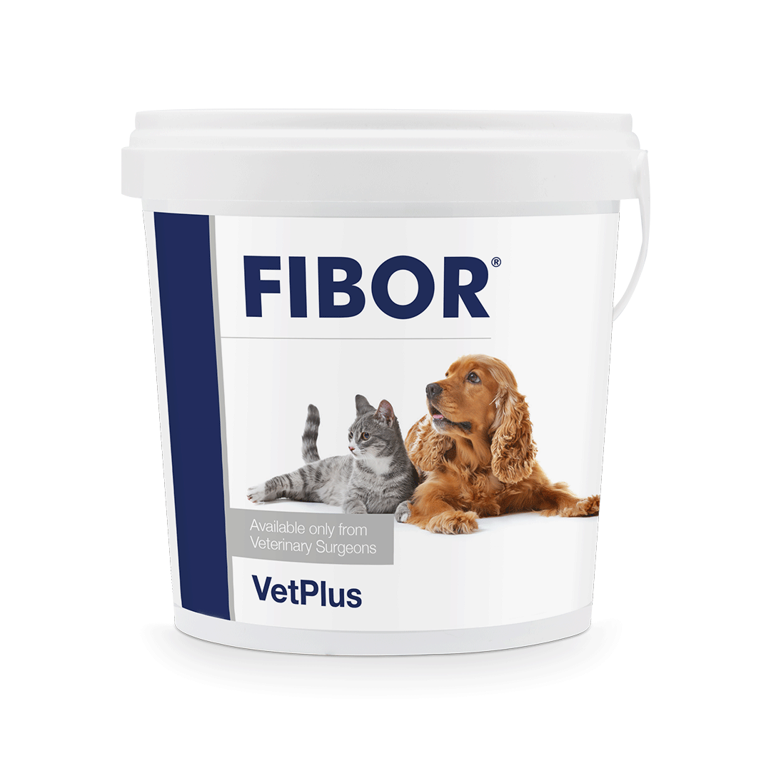 VetPlus Fibor 貓狗用高纖腸道營養粒 500g 官方產品圖片