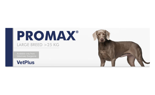 VetPlus Promax 大型犬用腸胃益生菌膏 30ml 官方產品圖片