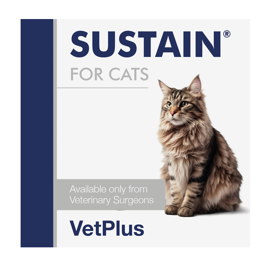 VetPlus Sustain 貓用腸道益生菌 1g × 30包 官方產品圖片