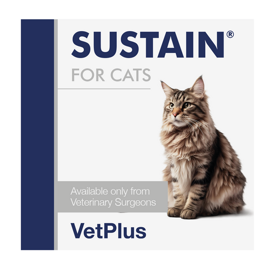 VetPlus Sustain 貓用腸道益生菌 1g × 30包 官方產品圖片