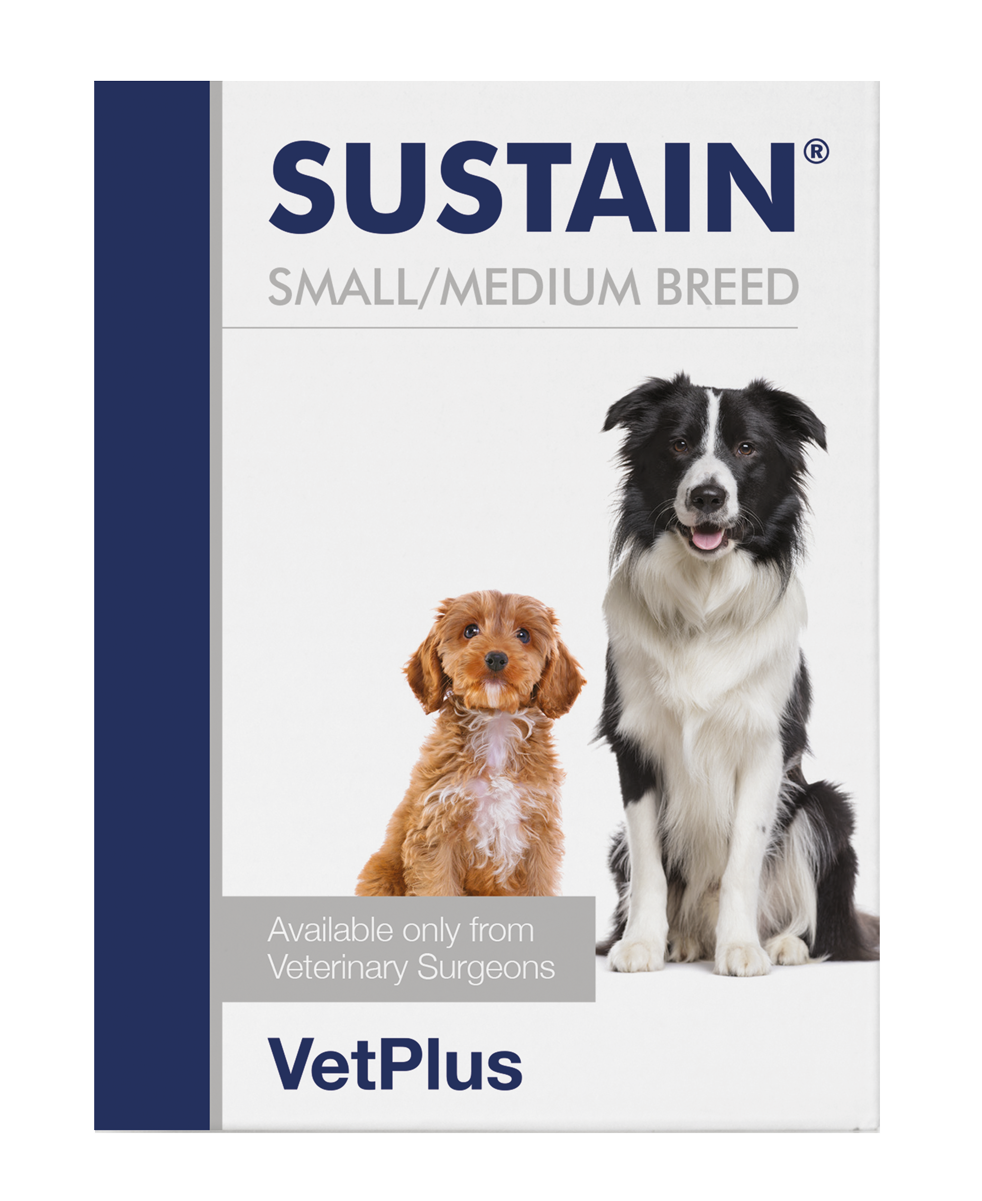 VetPlus Sustain 小中型犬用腸道益生菌 2.7g × 30包 官方產品圖片