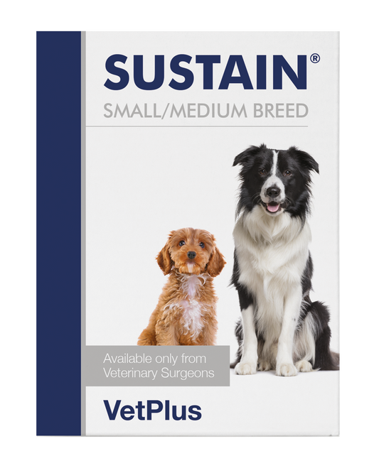 VetPlus Sustain 小中型犬用腸道益生菌 2.7g × 30包 官方產品圖片