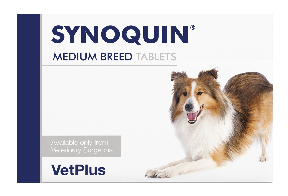 VetPlus Synoquin 中型犬用關節營養片 120片 官方產品圖片
