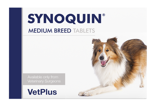 VetPlus Synoquin 中型犬用關節營養片 120片 官方產品圖片